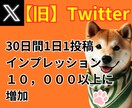 30日間インプレッション数を1万増加させます Twitterの1日1投稿に10000インプレッション数増加 イメージ1