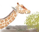 動物、人物、ペットの似顔絵作成します リアルで温かみのあるイラストを☆ イメージ1