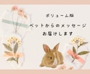 ボリューム版ペットからのメッセージをお届けします 大事なパートナー家族である動物たちのメッセージを聞きたい方へ イメージ1
