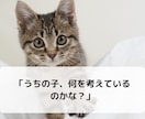 愛するペットの本音を知りたい！サクサク鑑定します 【先着10名様！】実績4600件のスピード鑑定♪ イメージ2