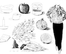 商用可  ボタニカル(植物)イラスト描きます 温かみのある線画のボタニカル(植物)イラスト イメージ6