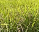 思いに共感し、一緒に笑って、一緒に考えます 元塾長です。まずはゆるく話しましょう。5分だけでもぜひ！ イメージ7
