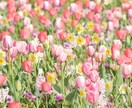 一週間貴方をお話と文字ハグで癒します ハグが大好きなのでいつでも来てください☘️ごっこ遊びも可能！ イメージ10