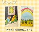 インコタロットであなたの現状とメッセージを伝えます あなたのモヤモヤ！必要なポイントを、ズバッとお届けします♬ イメージ3