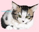 あなたの愛ペット全力で描きます 愛らしいその姿を絵で表現いたします！ イメージ4