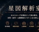 ホロスコープを論理的に分析します 思考構造や人間関係の傾向を読み解きます イメージ1