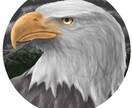 動物のアイコン・イラスト制作します 可愛い系、リアル系、モノクロ、カラー自由に選べます！ イメージ6