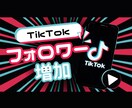 TikTokのフォロワー増加します TikTokのフォロワー2000人〜増加します イメージ1