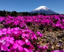 気軽にお声かけください★...なんでも聞きます あなたをホッとする気持ちに…少しでも心の安らぎになれたら イメージ1