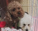 ちょっと愚痴をこぼしたい時、優しくお聞きします 辛い時苦しい時、遠慮なくお話して下さい✨ イメージ3