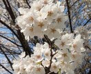 私もHSP 敏感すぎて困っている人、話聴きます 過干渉・過保護等の毒親に困っている、悩んでいるあなたへ♪ イメージ3