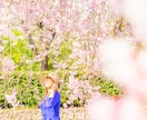 自然体プロフィール写真撮影します 仕事・婚活・SNS用撮影します。平日がオススメ イメージ3