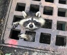 メールで不安、愚痴、悩み相談のります 悩み相談、話し相手なんでもいいですよ イメージ3