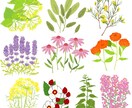 おしゃれな植物やお花・食べ物等のイラスト作成します WEB素材、チラシ等販促用など様々な用途でご利用いただけます イメージ1