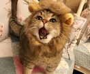 FTMの当事者が相談乗ります 性別なんて関係なし！たくさん話してスッキリしてください！ イメージ1