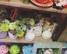 女学生がお話します 二日間女学生とチャットでお話！ イメージ1