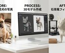 大切な愛犬を一枚の画像から石膏風フィギュアにします もう一度、あの愛しい背中を撫でられるように。 イメージ2