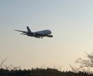 お客様が搭乗されている旅客機を撮影いたします 飛行機搭乗した時に役立つ豆知識もお伝えいたします。 イメージ1