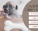 しつけ教室より気軽に♪犬のプロが電話サポートします 数多くの犬と向き合ったプロが愛犬との穏やかな暮らしを応援！ イメージ2