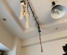 お部屋の空間コーディネートします 観葉植物、インテリア選び、空間装飾 イメージ2