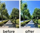 スマホ写真をSNS映えするアートに仕上げます 光と色を引き出すレタッチで、写真を作品に変えます。 イメージ5