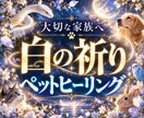 大切なペットへ癒しの遠隔ヒーリングを届けます 療養中・シニア・旅立った子へ｜白の祈りと癒しの光を届けます イメージ1