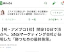 アメブロ開設10日で1位達成！国内アクセスUPます 国内アクセス増加で認知拡大をサポート イメージ9