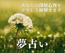 夢の意味を、心に寄り添いながら丁寧に読み解きます あなたの深層心理を夢から読み解き、心を整えます イメージ1
