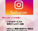 Instagramフォロワー+1000人増やします Instagram全世界に拡散！1000人迄増える迄サポート イメージ5