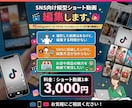 TikTok・ショート動画を編集します 若者に刺さる！見やすくテンポの良い動画に仕上げます！ イメージ1