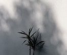風景の素材や映像を撮影します 撮影内容については詳細を相談できます。 イメージ3