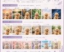 メモリアルポートレート『うちの子』お作りします 犬さん、猫さん、鳥さん…写真３枚から　その子だけの１枚に イメージ7
