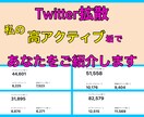 Twitter！高アクティブ垢であなたを紹介します 企業様・オーナー様・ブロガーやYouTuberにも大人気！ イメージ9