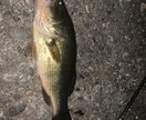 栃木県バス釣りポイント教えます 釣り歴12年で養ったポイントや今のパターンを教えます イメージ1