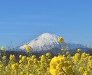 映える神奈川の旅プラン作成します 美しい景色や驚きの体験など映える旅を紹介します イメージ3