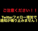 Twitterで日本人フォロワー800人増やします フォロワーが800人以上増加！SNSブランディング&拡散宣伝 イメージ2