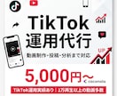 TikTokの動画制作・運用代行します TikTokの動画制作、投稿・分析まで、運用をサポートします イメージ1