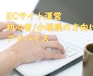 通販ECサイト運営の悩みごと相談のります EC運営初心者の方向けにアドバイスします！ イメージ1