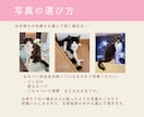 写真からぷっくり猫アイコンお描きします あなたの家の猫ちゃんがアイコンに イメージ5