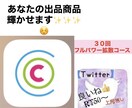 ５０－31回‼️Twitter輝かせます ☆☆☆超拡散３１回お得コース作りました❣ イメージ1