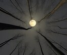60分占い放題～気になることなんでも聞けます ～気になるあの人のこと、未来のこと、全部占います～ イメージ1