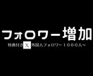 限定特典！ X・Twitterフォロワー増やします 外国人フォロワー1,000人増やすようプロモーションします イメージ1