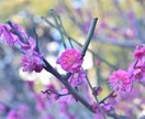 お話相手になります 恋愛・愚痴・悩みなどのお話相手になります! イメージ1