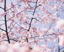 お話し聞かせてください✨どこまでも寄り添います 1分から長時間まで✨あったかくて癒されるひと時を。 イメージ8