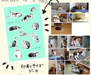 商用可○猫いっぱいイラストお描きします 撮った写真をまとめてポストカードやアイコンに！ イメージ5