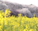 あなたの毎日をほんのちょっと支えるお手伝いをします 現役ナースがまるごと受け止めます( *ˊᵕˋ)✩︎‧₊ イメージ4