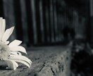 カルマ解消や運命の好転、観音菩薩の慈愛で導きます 繰り返す問題を手放し、過去からの縛りを解き運命の流れを変える イメージ3