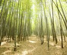あなたの人生を「プラス」のスパイラルに導きます 現在悩んでいる事を3つお聞かせ下さい。 イメージ1