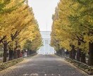 慶應義塾大学の受験に特化した当日注意を教えます 最後に差が出る！慶應生が慶應受験当日のコツ伝達！慶應に受かろ イメージ2
