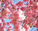 チャットで恋愛相談❤️60分間即レスします 失恋 復縁 喧嘩 片思い❤️恋愛の悩みの解決法一緒に探します イメージ2